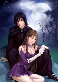 全职法师之暗影刺客