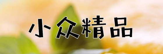 小众精品&不是特别出名的书